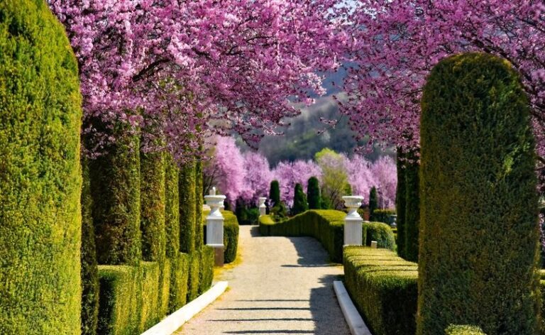 Bună dimineața, primăvară! Giardini di Zoe, cea mai frumoasă grădina aristocrată din România