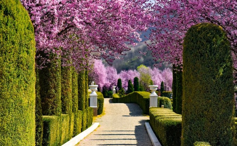 Bună dimineața, primăvară! Giardini di Zoe, cea mai frumoasă grădina aristocrată din România