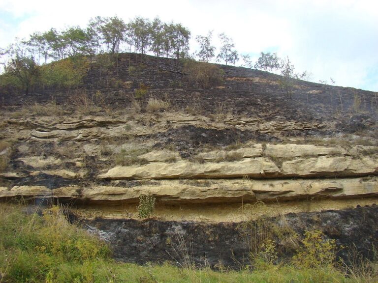 „Gipsurile de la Leghia”: Ținutul depozitelor naturale de alabastru, o varietate de gips