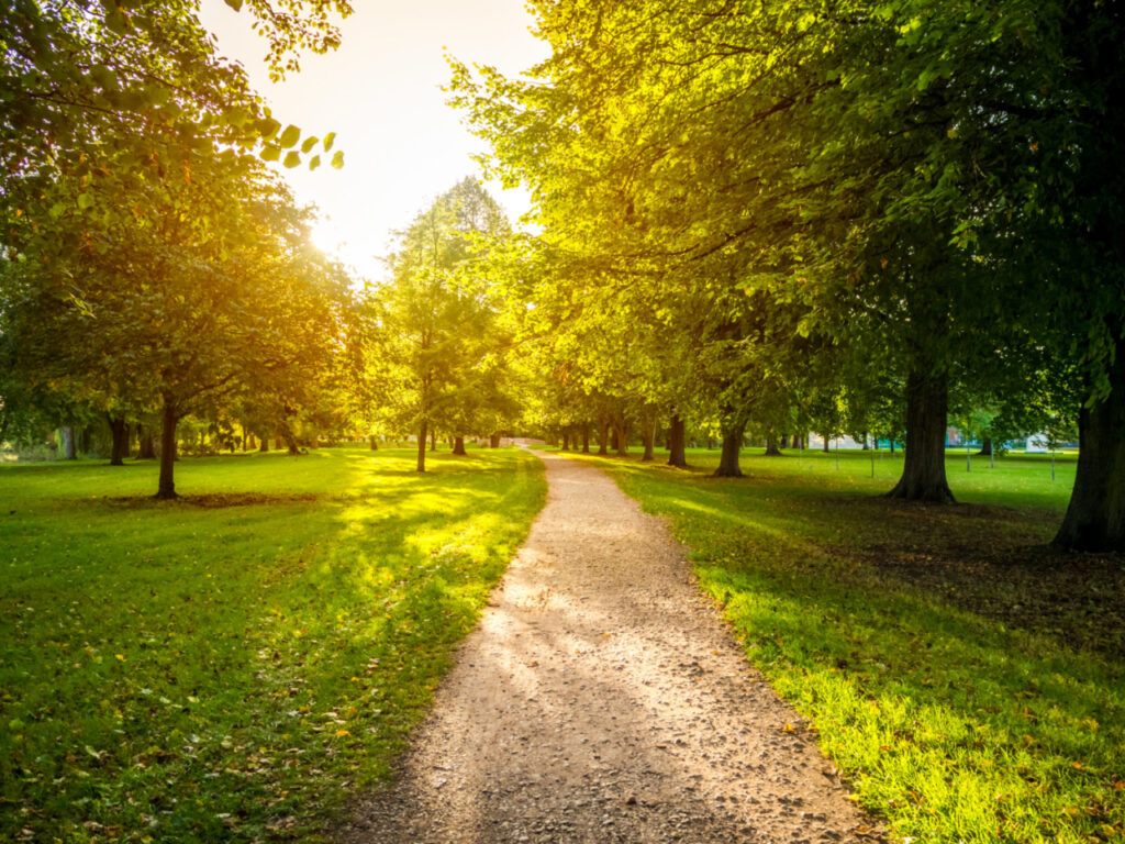 Culoarul verde nord-sud: un nou traseu pentru clujenii iubitori de natură și mișcare