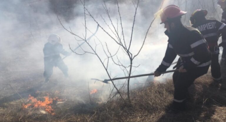 Trei hectare de vegetație uscată din Iara au ars într-un incendiu 
