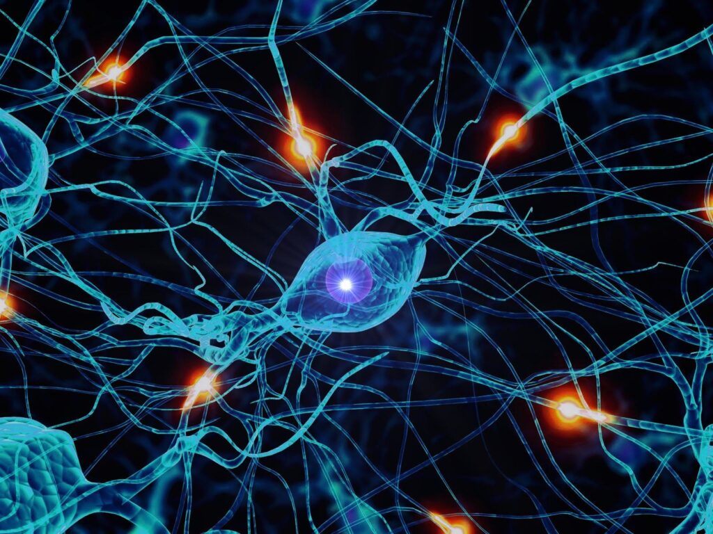 Primul curs acreditat din România de Neuromodulare Non-invazivă NESA va avea loc la Cluj