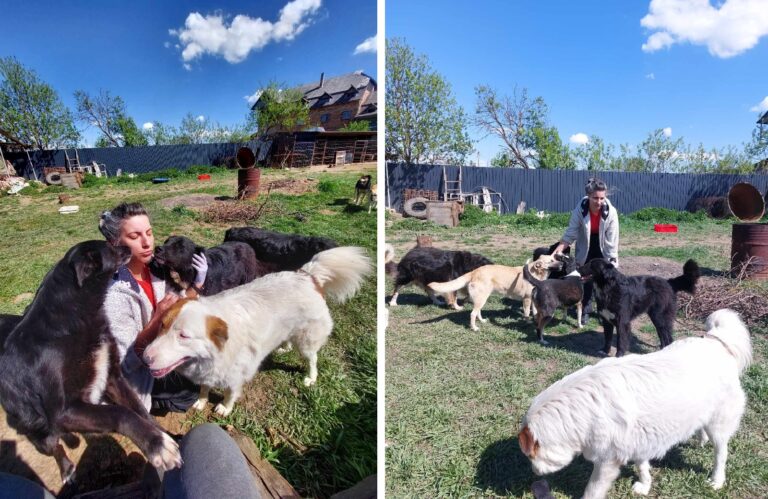 Iubitorii de animale de la Sirius: Avem 200 de anima(suflet)le în grijă, 200 de suflete care depind zi de zi de noi