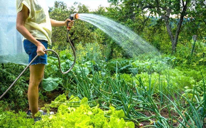 Se face apel la populație să reducă la minimum utilizarea apei potabile pentru scopuri agricole și de grădinărit