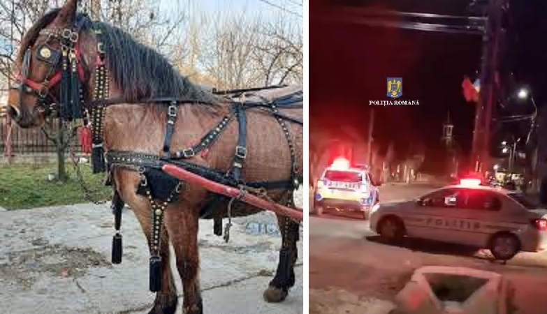 8 percheziții în Dragu după ce mai mulți bărbați au furat 6 hamuri de cabaline din Ciucea