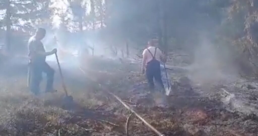 Un incendiu de vegetație a izbucnit în satul Lăzești, comuna Scărișoara