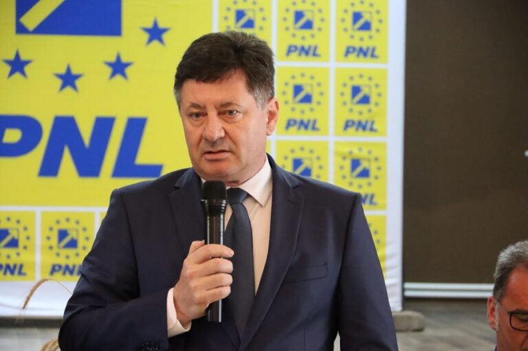 Iustin Cionca: „Petrișul arată din ce în ce mai bine. Am luat la pas șantierele din comună”