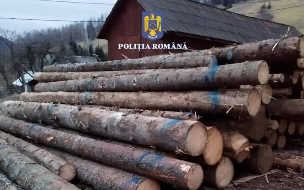 Drujbarii din Bihor, luați la control de polițiștii de la delicte silvice