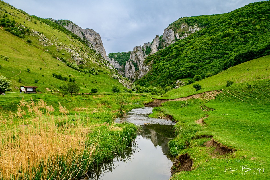(FOTO) Cheile Turzii, verde infinit în luna lui mai: Zona este cu adevărat pitorească și ușor accesibilă