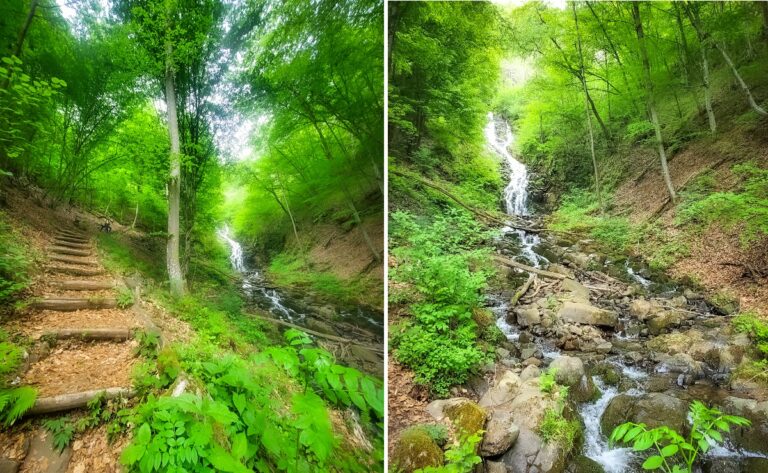 Cascada Săritoarea, din Apuseni, sculptată în roci vulcanice andezitice, este de o frumusețe rară