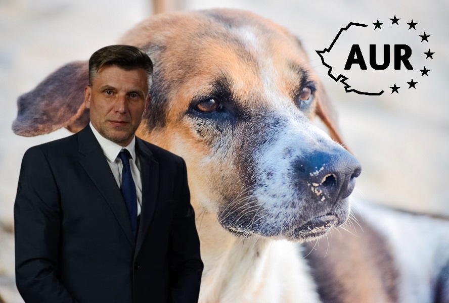 Cristian Luca: Sa aratam animalelor ca suntem oameni, ca putem darui macar cat primim de la ele