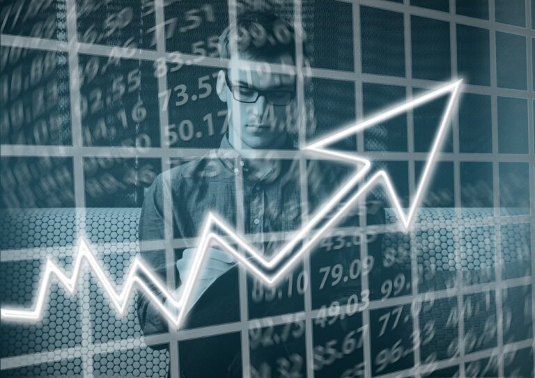 Lion Capital raportează o creștere de 30% a activelor față de anul trecut