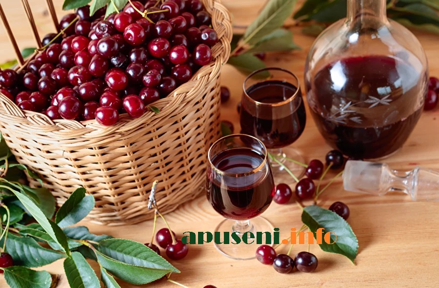 Vinul de vișine este o băutură delicioasă și aromată. Care este rețeta secretă din Ardeal, transmisă din tată în fiu?