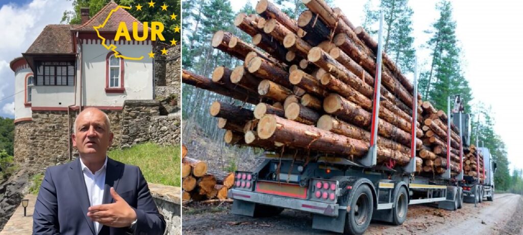 Cristian Șipoș: Culoarul Crișului, Ciucea – Negreni, o perlă turistică, controlată de mafia lemnului
