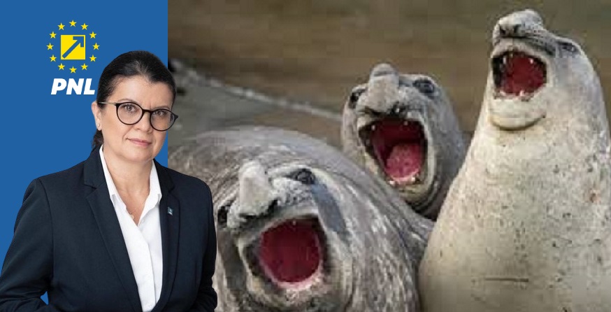 Stați liniștiți băieți, nu o schimbă nimeni pe Vetuța