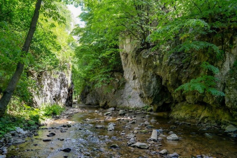 Cheile Crivadiei, una dintre cele mai spectaculoase și mai puțin cunoscute minuni naturale din România