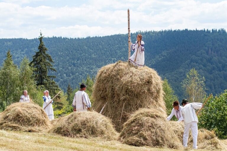 De la Răchițele, la Borod, toată Țara Călatei e la strânsul fânului: La răsăritul soarelui, cosașul era deja în brazdă!