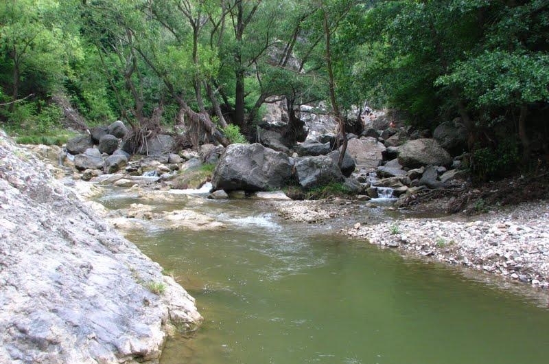 Defileul Borzeștilor, locul ideal în zilele caniculare de august, un peisaj sălbatic cu peisaje pitorești