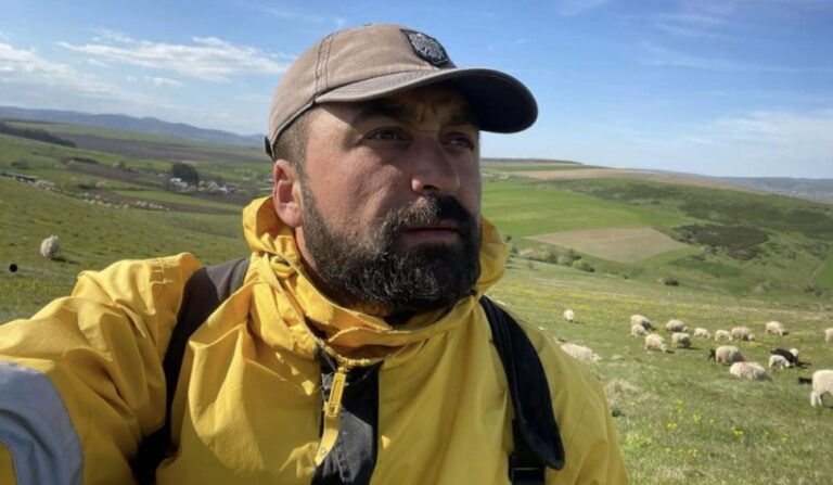 Un deputat este urmărit penal pentru că și-a dus oile să pască pe un câmp care nu era al lui