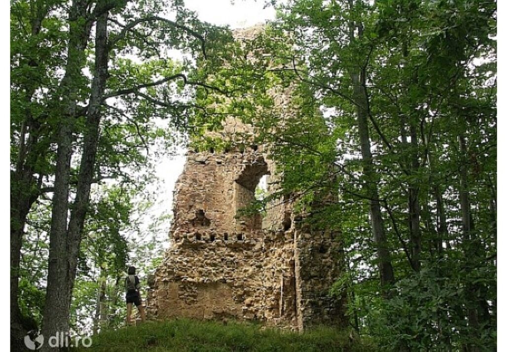 Cetatea Finiș, fortificație medievală construită de către episcopii catolici, păzea extracțiile miniere de argint de la Băița