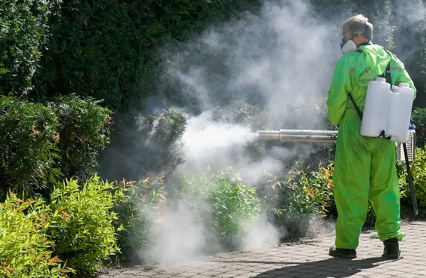 Acțiune de dezinsecție în municipiu împotriva țânțarilor și căpușelor în Arad: „Rugăm cetăţenii să evite să treacă sau să stea în zona de acţiune!”