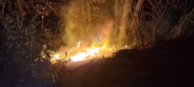 Un incendiu a cuprins mai multe resturi lemnoase, în noaptea de joi, în satul Goiești din  Vidra