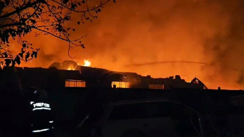 Masacru în Apuseni: Incendiu la o fermă de porci din Lita, Săvădisla! 612 porci au ars de vii!