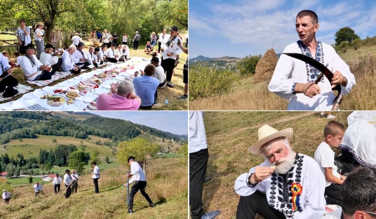 Claca de Coasă de la Bârleşti, unul dintre cele mai vechi obiceiuri din inima Apusenilor
