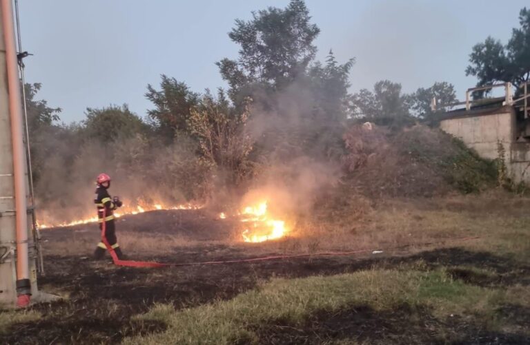 Un incendiu de vegetație a izbucnit sâmbătă seara în zona Râpei Roșii