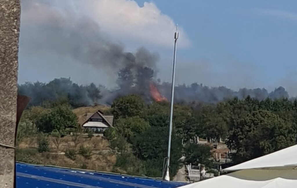 Incendiu pe dealul Sanatoriului, în Brad!