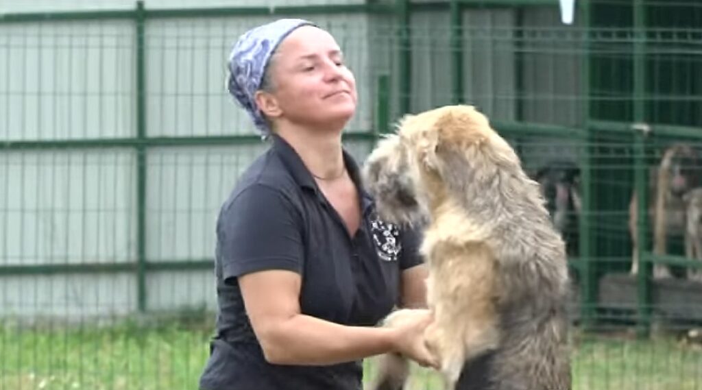 Iubitorii de animale de la Sirius au ridicat sanctuarul „Trinity”, unde peste 200 de patrupede beneficiază de hrană și îngrijire de specialitate!
