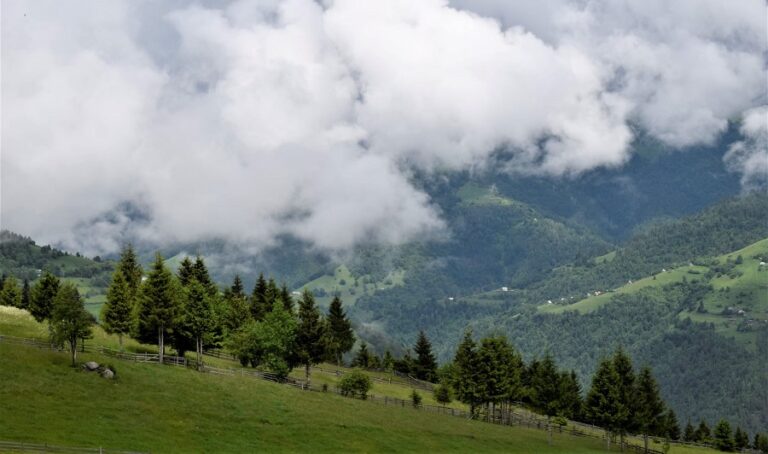 Bătrânii satului știau tălmăci mesajele pe care le transmitea natura: „Când auzi primu’ tunet de vară…”