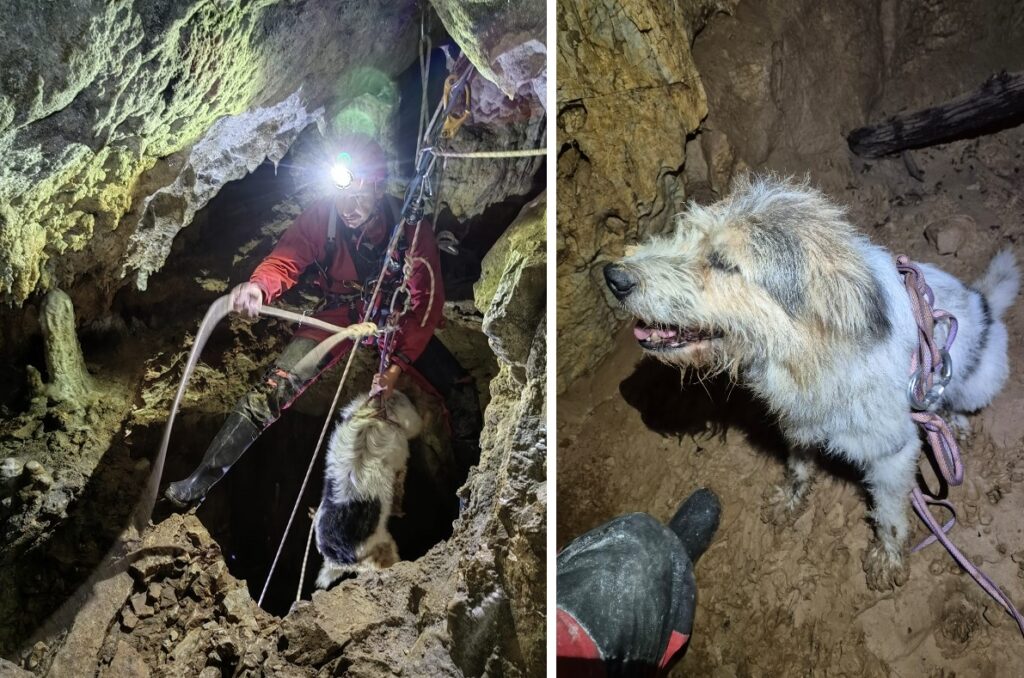 Cățelul Bobiță a fost salvat de speologii bihoreni după ce a căzut într-un puț adânc de 10 metri: 2 ore a durat operațiunea de salvare