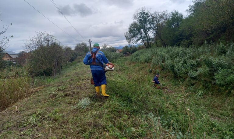 Formația de lucru Ilia din cadrul Sistemului de Gospodărire a Apelor Hunedoara efectuează lucrări de întreținere regularizare pe valea Săcămaș, din Ilia