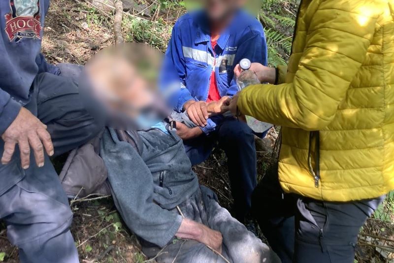 Un bărbat de 80 de ani care a dispărut de acasă, din Mărișel, a fost găsit viu după 4 zile, într-o pădure