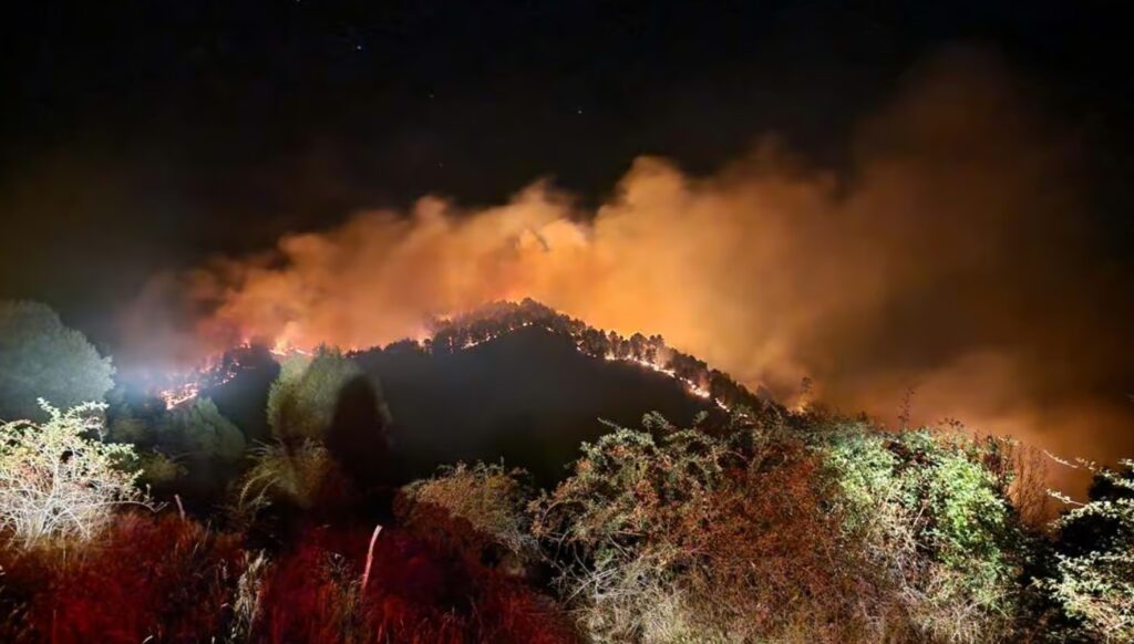 Incendiu la o pădure din comuna Vințu de Jos. Pompierii din Sebeș au acționat în toiul nopții!