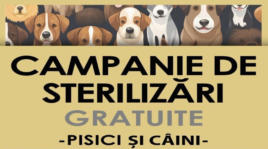 Sterilizarea câinilor și a pisicilor gratuită în Rîmetea