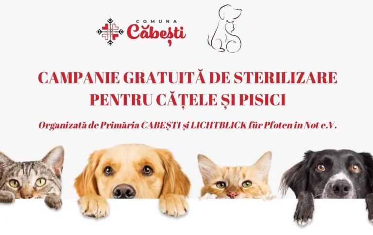 Primăria din Căbești organizează o campanie de sterilizăre gratuită pentru cățele și pisici