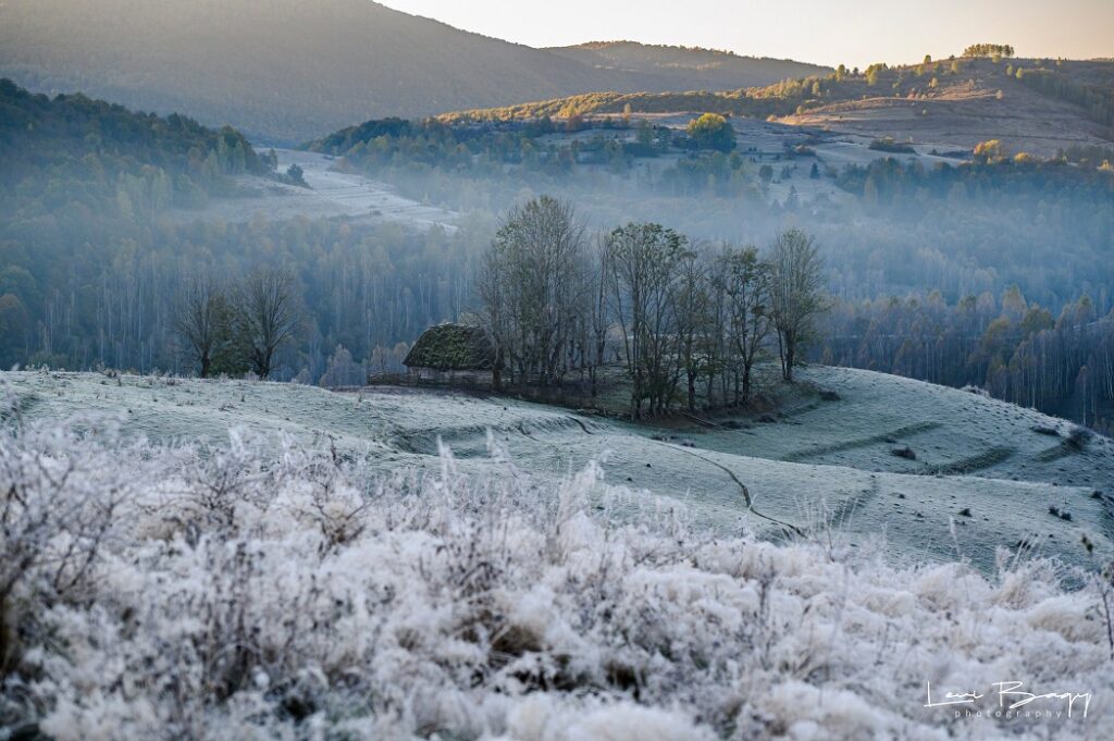 Un pic de brumă la Dumești. Toamnă nebun de frumoasă în Apuseni!