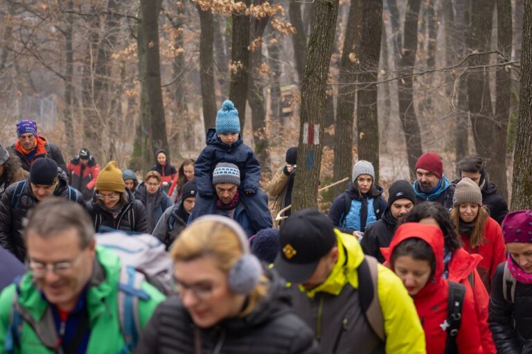 Inelul verde metropolitan, mai important ca centura Clujului? 55% dintre clujeni s-ar declara împotriva centurii metropolitane dacă se taie o parte din pădurea Făget!