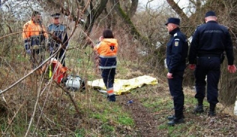 Un bărbat a fost găsit mort într-o pădure din Borod. Plecase la cules ciuperci și nu a mai revenit acasă!