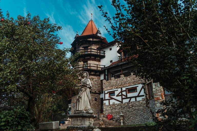 Castelul Lupilor Transilvania, un loc plin de istorie și mister. Sub conducerea marelui Lup Alb s-au adunat toți lupii din Daci