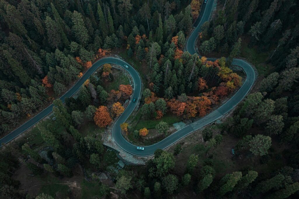 Lucrările la cel mai sălbatic și drum din Ardeal, care va lega Alba, Cluj și Bihor încep în primăvară. Drumul va trece prin „Țara Ursului”  din Apuseni!