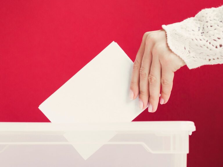 AUR va depune plângere penală împotriva ministrului de externe Luminița Odobescu pentru neregulile constatate în secțiile de votare din diaspora