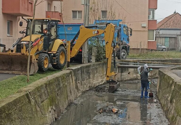 Se face curățenie pe Valea Sânaslău din Florești