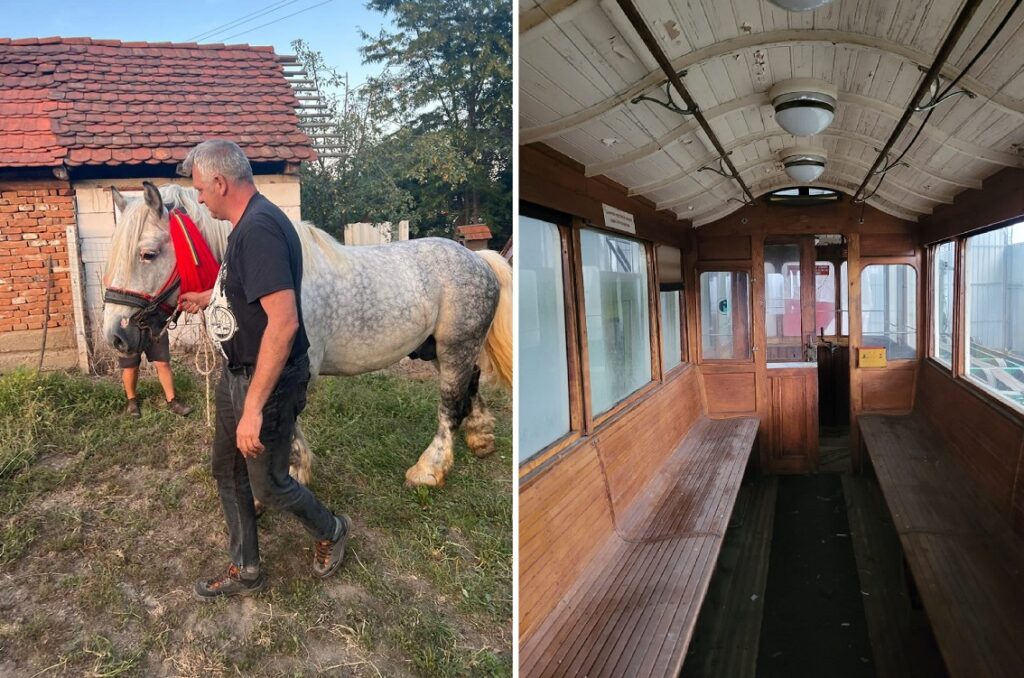 Se inaugurează o nouă mocăniță în Ardeal, trasă de cal, pe vechea linie forestieră Orăștie – Sarmisegetuza, în vechea țară a dacilor