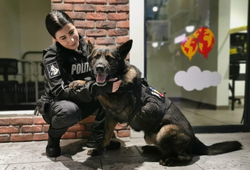 Ce simte un animal atunci când aude explozia unei petarde? Impactul poate fi devastator!