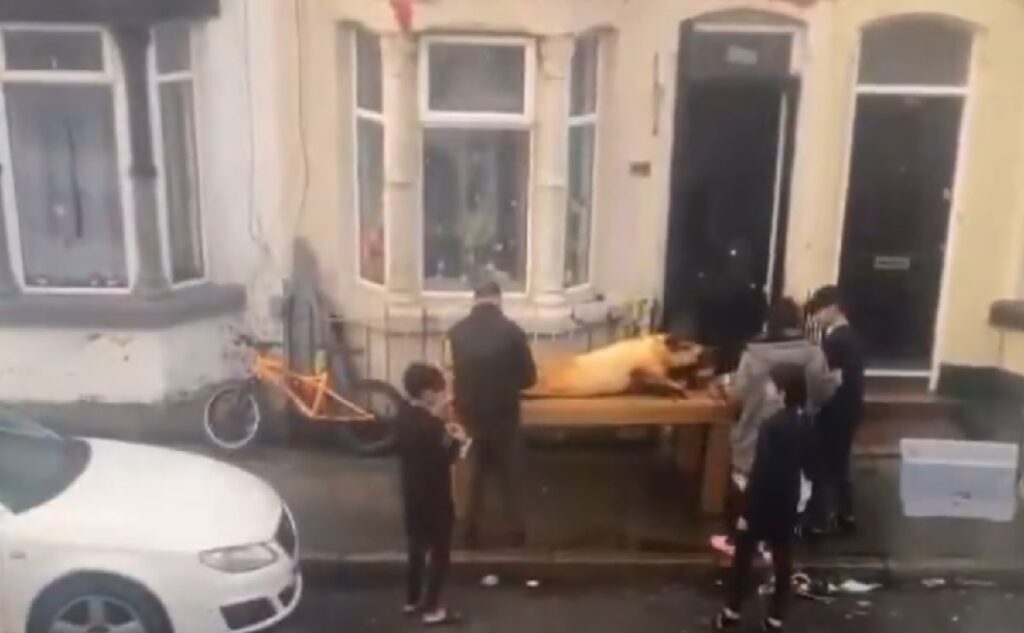 Poftiți la șoric proaspăt și cald în Liverpool! Românii pârleau porcul de Crăciun în fața casei! Englezii au rămas cu gura cască!