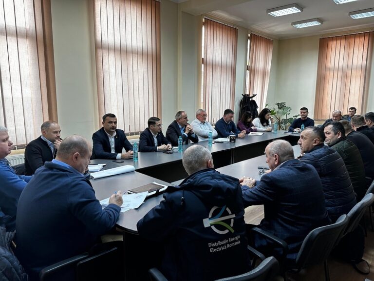 Întreruperile frecvente ale energiei electrice și gestionarea câinilor comunitari din Aleșd, în atenția și dezbaterea Prefectului de Bihor