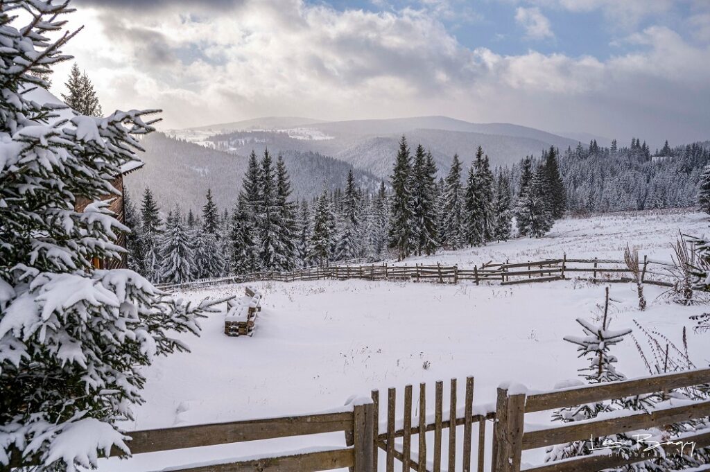 Ianuarie de vis în Mărișel. Se schiază din plin iar peisajele sunt feerice! Au venit turiști din toată țara!